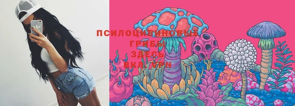 гидропоника Абдулино